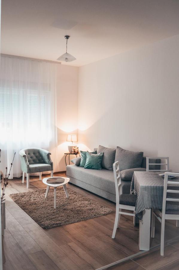 Apartman Lena Banja Koviljača المظهر الخارجي الصورة